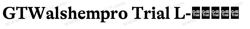 GTWalshempro Trial L字体转换